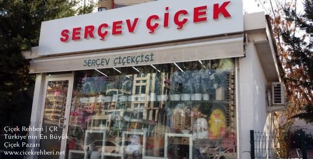 Serçev Çiçekçisi Merkez, Ankara, Çankaya fotoğrafları