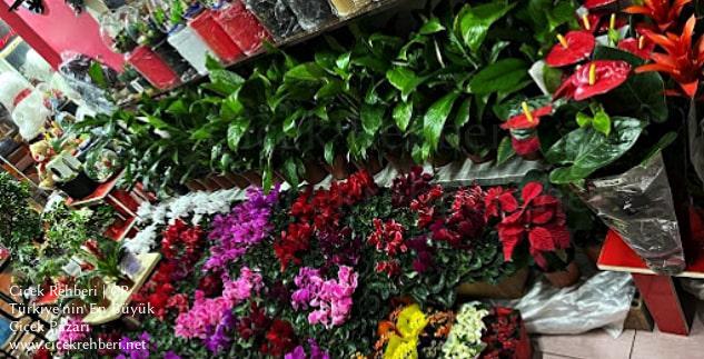 Büşra Çiçekçilik Merkez, Kırıkkale, Merkez fotoğrafları