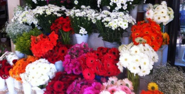 Buse Çiçekçilik Merkez, İstanbul, Avcılar fotoğrafları