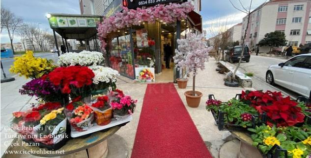 Hayat Çiçekçilik Merkez, İstanbul, Avcılar fotoğrafları